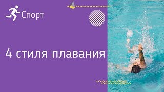 4 стиля плавания