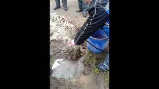 Прокачка скважины компрессором видео
