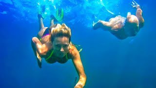 underwater swimming /the walk in the vineyard. подводное плавание/прогулка по винограднику