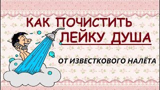 Как очистить лейку душа от водного камня