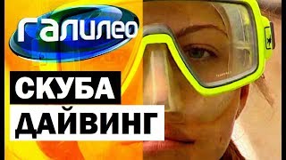 Галилео. Скубадайвинг 🌊 Scuba Diving