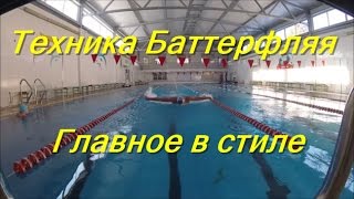 Элементы стиля/ Баттерфляй/ КАК НАУЧИТЬСЯ ПРАВИЛЬНО ПЛАВАТЬ/ How to learn to swim