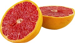 Grapefruit Seed Extract Mold Removal
