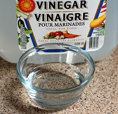 Vinegar Mold Removal