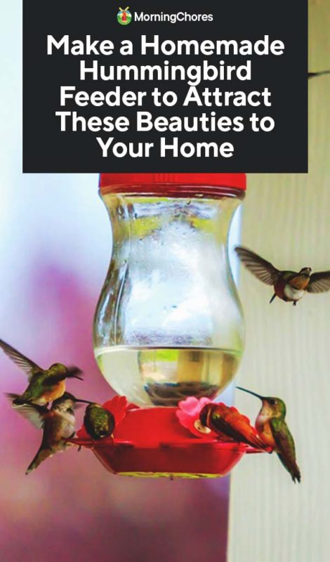 homemade hummingbird feeder