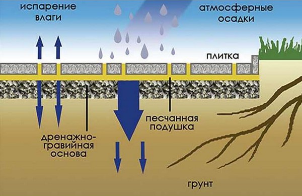 как класть тротуарную плитку на даче фото