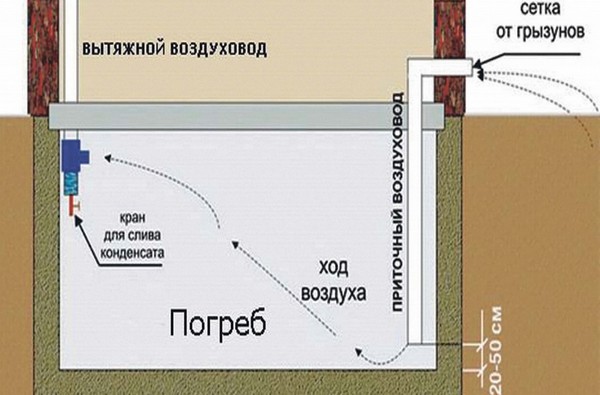 как сделать вентиляцию в погребе фото