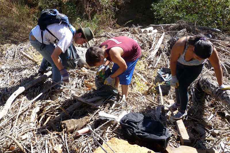 People collecting trash