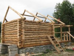 Строительство бани