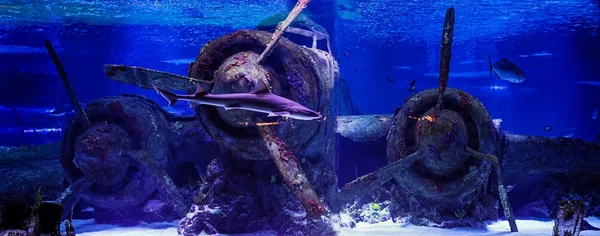 Плоскости под водой — стоковое изображение Плоскости под водой — стоковое фото