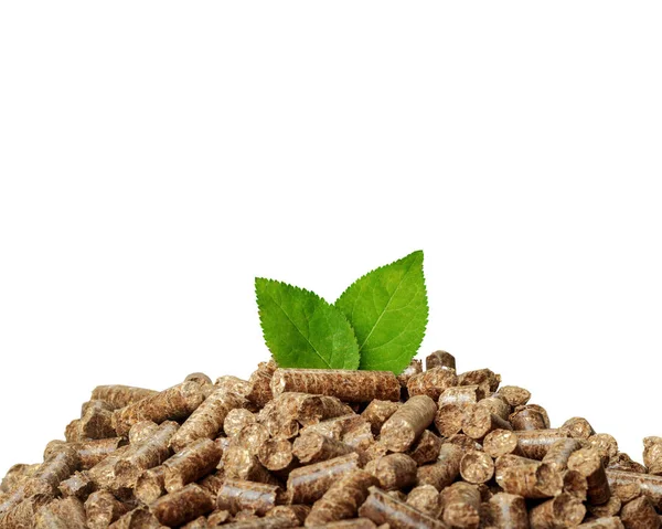 Pile Wooden Pellets Bio Energy — стоковое фото