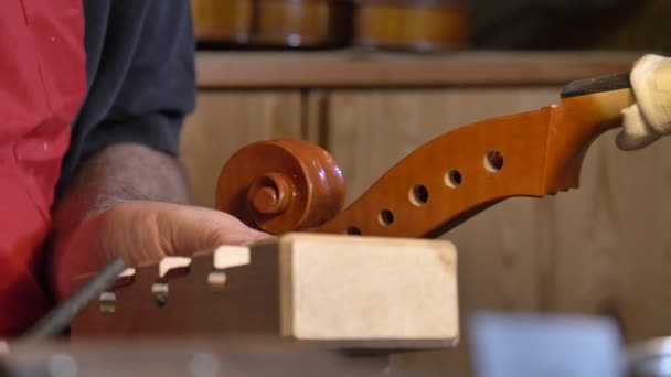Professional Violin Master Makes Violin His Own Hands Uses Clean Stock Video
