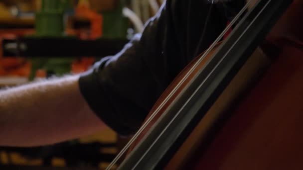 Professional Violin Master Makes Violin His Own Hands Uses Clean Royalty Free Stock Footage
