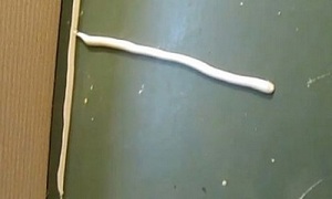 ту29
