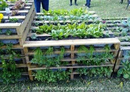 Pallet vertical gardens can be stacked and staggered at different heights depending on your space. 