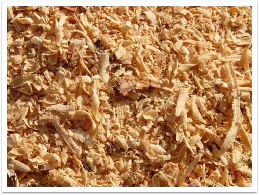 Wood that has been ground for pulp
