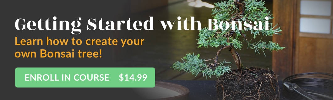 Getting Started with Bonsai