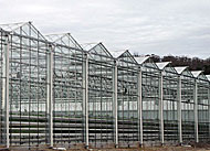 High technology greenhouse