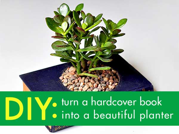 diy-recycled-planter-ideas-18