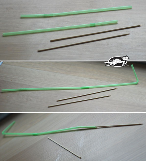 Подснежник в саду