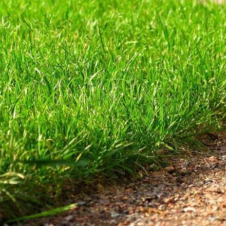 Как уложить искусственный газон своими руками – Укладка искусственного газона своими руками с фото структура травы